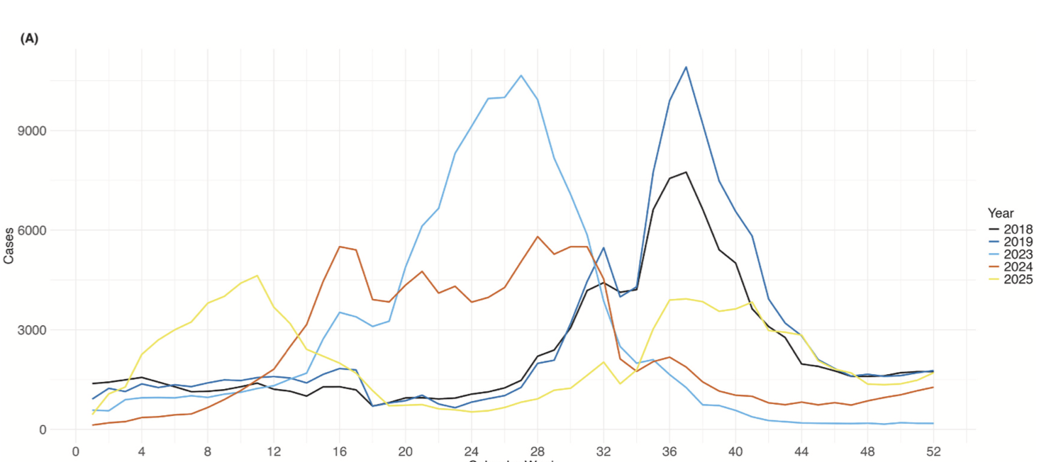 Comparing seasonal vs year-round RSV immunisation in Japan