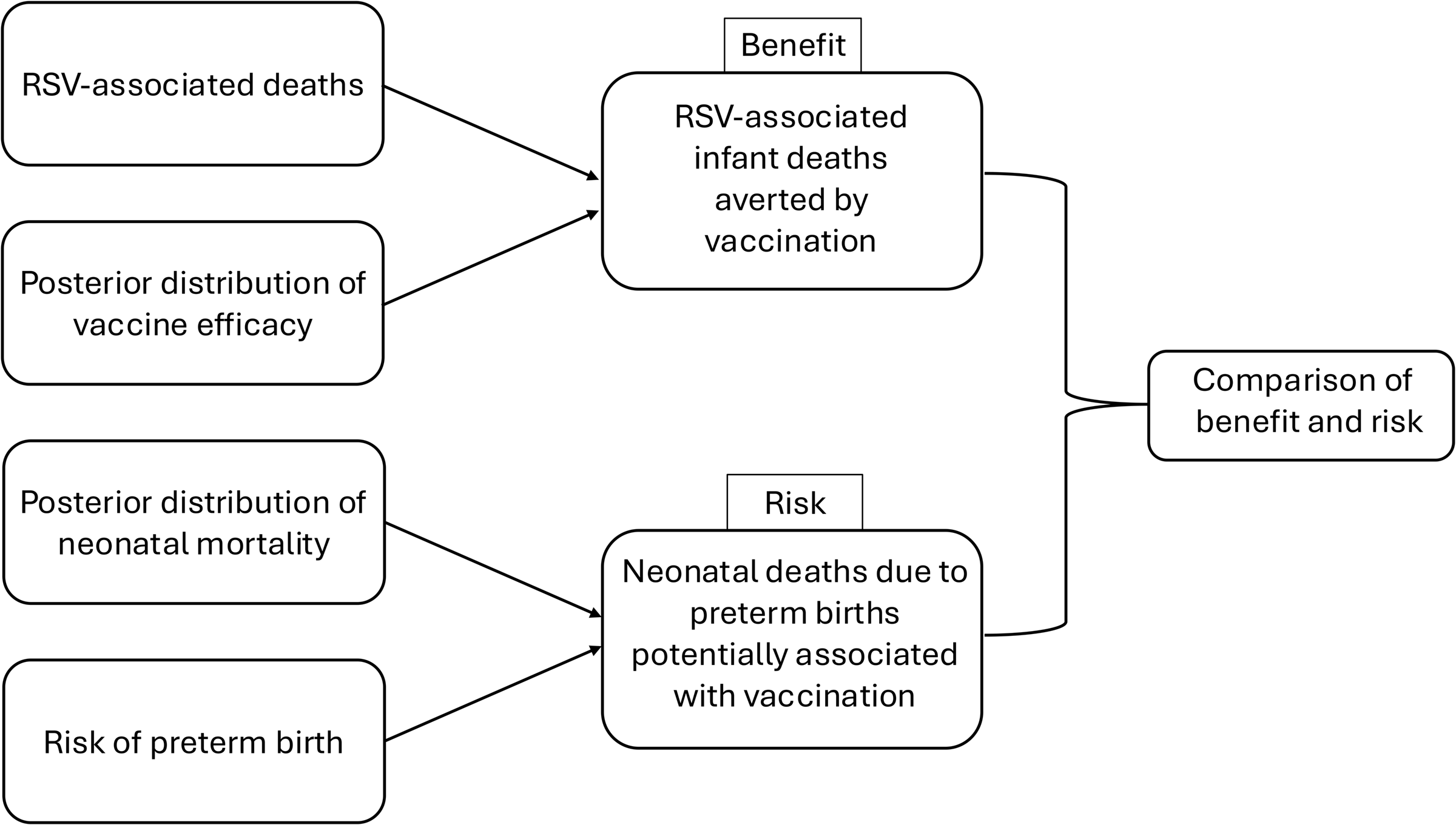 RSV Vaccination Study Flowchart